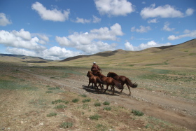 Photos de notre randonnée confort sous la yourte en Mongolie : Khustai et les chevaux de Przewalski, Khogno Khan, le Mini Gobi, la Vallée de l'Orkhon, le lac d'Ogii, Karakorum... (Randocheval / Absolu Voyages)