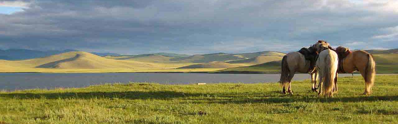 randonnee cheval en mongolie