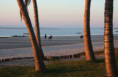 Cocotiers et plages infinies, venez randonner à cheval au Mozambique - Randocheval