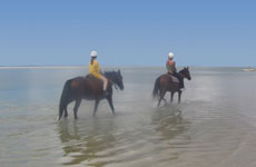 Aventure équestre dans la région de Vilanculos - Randocheval