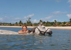 Exp&eacute;rience inoubliable de baignade avec les chevaux au Mozambique - Randocheval
