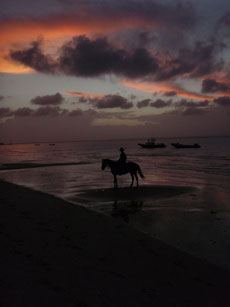 Ambiance nocturne pour la derni&egrave;re sortie de la journ&eacute;e - Randocheval