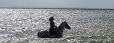 Voyage à cheval dans les eaux translucides du MozambiqueCasa Rex - votre hébergement durant la semaine si l'archipelago est complet - Mozambique