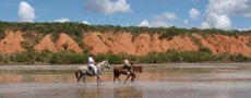 Voyage à cheval entre terre et mer au Mozambique - Randocheval