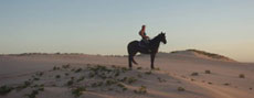 Randonnée à cheval au Mozambique - Randocheval
