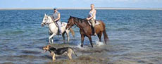 Randonnée équestre sur les plages désertiques du Mozambique - Randocheval