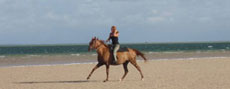 Séjour 7 nuits en étoile entre bord de mer et savane - Randocheval