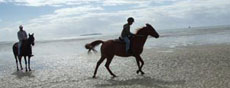 Séjour en étoile au coeur des paysages paradisiaques du Mozambique - Randocheval