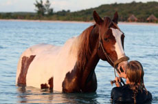 Nager avec votre cheval et profiter de paysages paradisiaques - Mozambique - Randocheval