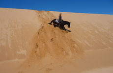 A cheval dans les dunes de sable du Mozambique - Randocheval