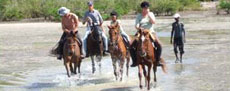 nombreux galops sur les plages infinies du Mozambique - Randocheval