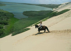 Randonnée équestre au Mozambique - entre bord de mer et savane - Randocheval