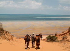 Horse riding trail in Mozambique - Randocheval