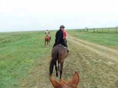 rencontres passionnés de chevaux