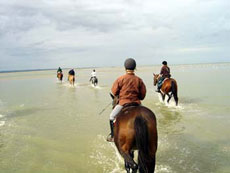 Photo gallery of our crossing of Mont Saint Michel's Bay on horseback - Randocheval / Ride in France