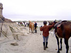 Photo gallery of our crossing of Mont Saint Michel's Bay on horseback - Randocheval / Ride in France