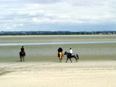 Photo gallery of our crossing of Mont Saint Michel's Bay on horseback - Randocheval / Ride in France