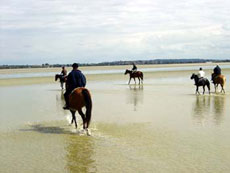Photo gallery of our crossing of Mont Saint Michel's Bay on horseback - Randocheval / Ride in France