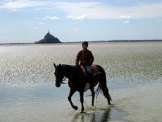 Photo gallery of our crossing of Mont Saint Michel's Bay on horseback - Randocheval / Ride in France