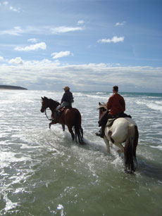 D&eacute;couvrez nos weekends dans la Baie du Mont Saint Michel - Randocheval