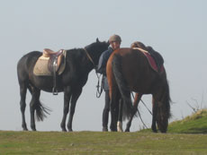 Weekend &agrave; cheval autour du Mont Saint Michel