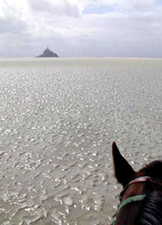 Tide coming up on the Mont Saint Michel Bay - Ride In France / Randocheval / Absolu Voyages