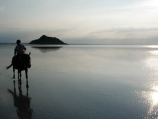 Randonn&eacute;e &eacute;questre dans les pr&egrave;s-sal&eacute;s de la Baie du Mont Saint Michel - Randocheval