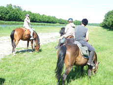 Randonn&eacute;e &eacute;questre dans les pr&egrave;s-sal&eacute;s de la Baie du Mont Saint Michel - Randocheval