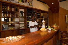 Okaukuejo Rest Camp - Parc National d'Etosha - Bar