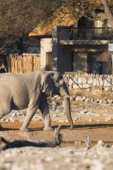 Okaukuejo Rest Camp - Parc National d'Etosha