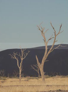 D&eacute;couverte de la Namibie en totale libert&eacute; - RANDOCHEVAL