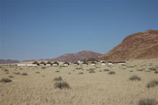 Desert Homestead Lodge - Désert du Namib