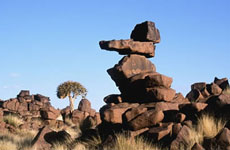 Voyage au coeur de la Namibie - Randocheval