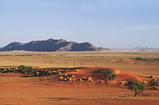 Namib Desert Lodge - D&eacute;sert du Namib - Vue d'ensemble