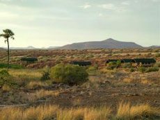 Palmwag Lodge - Damaraland