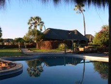 Palmwag Lodge - Damaraland - Piscine