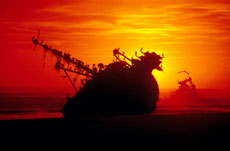 La Skeleton Coast - Namibie