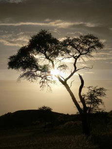 La Namibie et ses couchers de soleils inoubliables