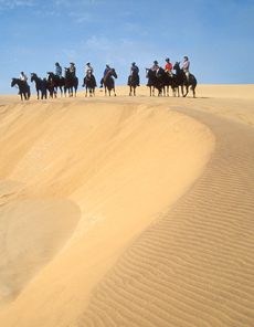 Namibie - Traversée du Désert du Namib - RANDO CHEVAL