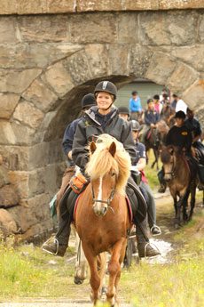 Randonn&eacute;e &eacute;questre &agrave; Dovrefjell en Norv&egrave;ge - Randocheval