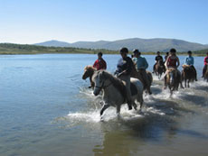 Bath time with islandic horses in Norway