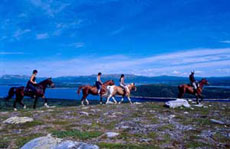 Voyage &agrave; cheval dans les contrastes norv&eacute;giens - Randocheval
