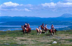 Rejoignez nous pour cette aventure o&ugrave; le bleu de la mer contraste avec la verdure des paturages - Randocheval