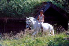 Randonn&eacute;e &eacute;questre en Norv&egrave;ge - Randocheval / Absoluvoyages