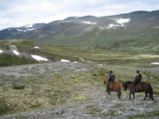 Paysages &eacute;poustouflants des sommets norv&eacute;giens - Randocheval
