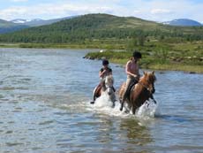 Vacances &eacute;questres en Norv&egrave;ge, sp&eacute;cial familles avec enfants, sur des chevaux et poneys islandais - Rando Cheval / Absolu Voyages