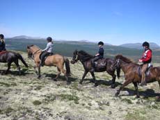 S&eacute;jour &eacute;questre en Norv&egrave;ge pour familles avec enfants au nord de la r&eacute;gion des fjords - &eacute;quitation en pleine nature sur des chevaux / poneys islandais - Rando Cheval / Absolu Voyage