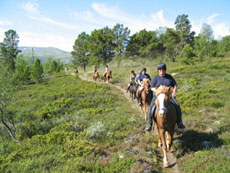 T&ouml;lt dans la lande en Norv&egrave;ge - Randocheval