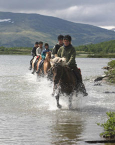 Galopp in the lake - Norway