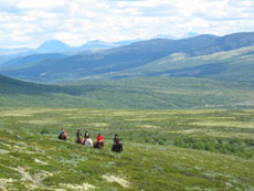 Norwegian plain